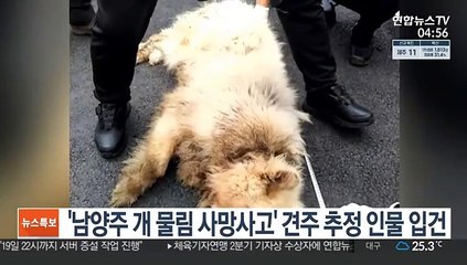 '남양주 개 물림 사망사고' 견주 추정 인물 입건