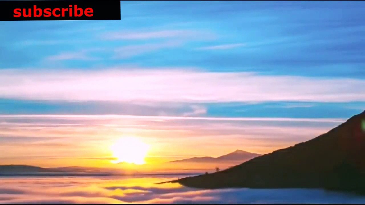 animais  vida  selvagem  natureza /  documentary wildlife animals nature  / animales fauna silvestre lnaturaleza.