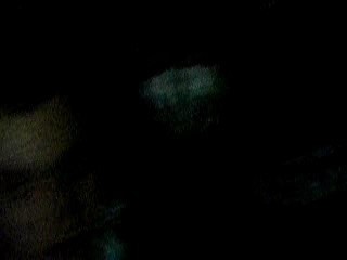 Deadmau5@Cherry Moon opening