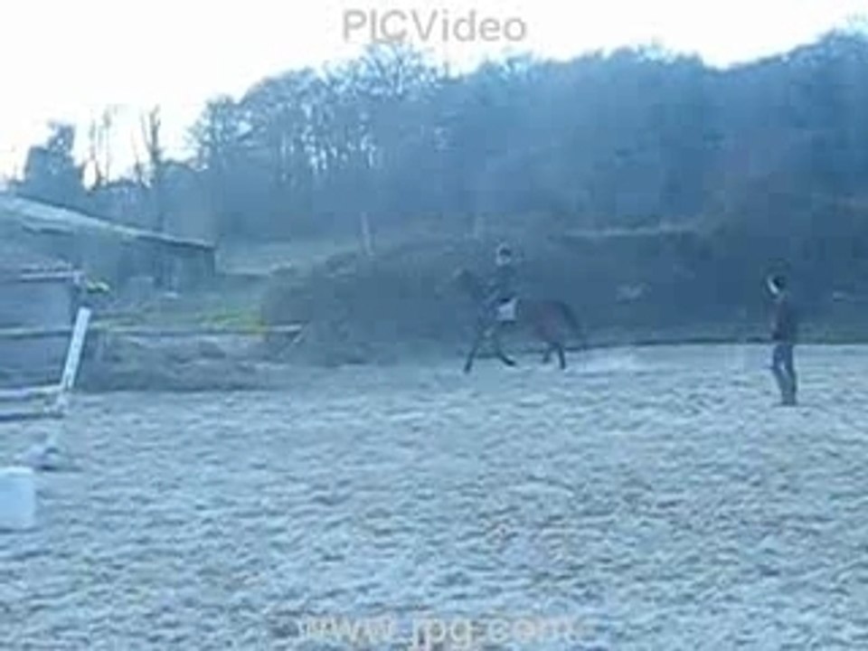 Le joyau d'Or (février 2008)