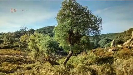 NOVELA GÊNESIS CAPITULO 130 COMPLETO - 19-07-2021 SEGUNDA