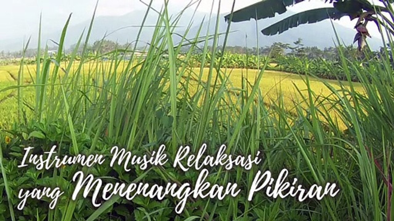 #50 Instrumen Musik Relaksasi yang Menenangkan Pikiran