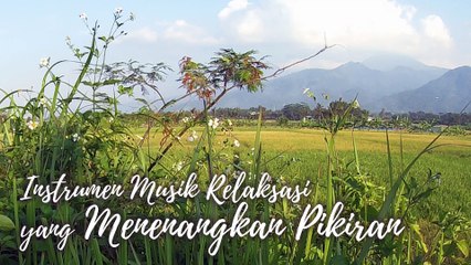 #46 Instrumen Musik Relaksasi yang Menenangkan Pikiran