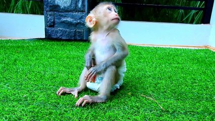 173=308=ALDO Play With Brother So Happy