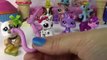 Fan Mail #23 Mystery Surprise Blind Bags Littlest Pet Shop Opening LPS (2)