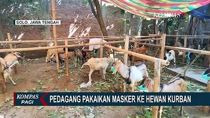 Pedagang Ini Pakaikan Masker ke Hewan Kurban Demi Menarik Perhatian dan Mengedukasi Warga