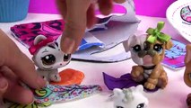 LPS Mystery Surprise Handmade Blind Bags Toys Fan Mail Littlest Pet Shop Unbo