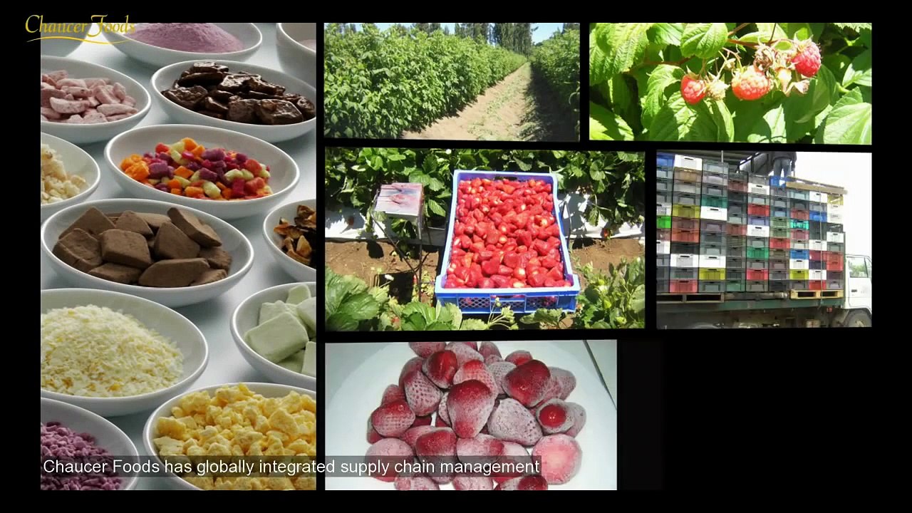 CHAUCER FOODS FREEZE DRIED FRUITS PRODUCTION