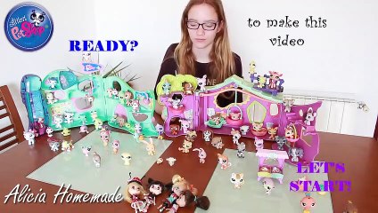 The best MEGA COLLECTION of the LITTLEST PET SHOP # LPS (2)