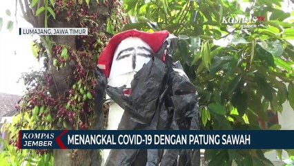 Warga di Lumajang Membuat Patung Sawah untuk Menangkal Covid-19