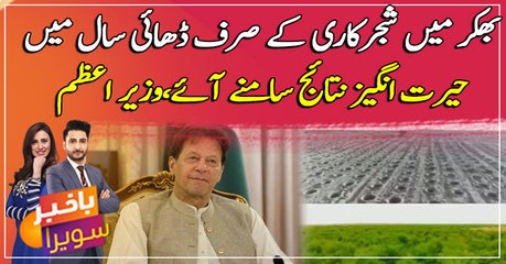 Amazing results of billion tree plantation drive in just over 2 & 1/2 years says, PM Khan