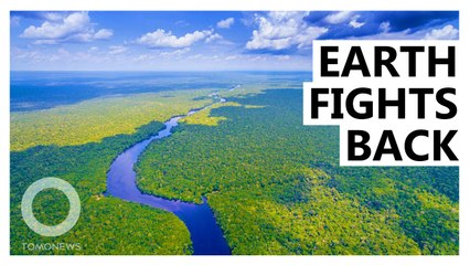 Amazon Went From 'Carbon Sink' to Carbon Polluter