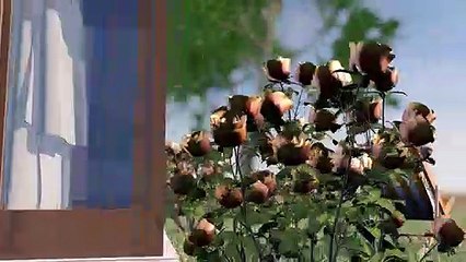 Rafraichir un logement sans climatisation