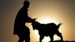 Bakrid 2021: बकरीद में क्या जानवरों की कुर्बानी सही या नहीं | Bakrid Qurbani 2021 | Boldsky