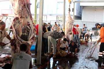 Gaziantep'te kurbanlar kesilmeye başlandı