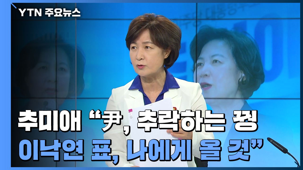 [더뉴스-더인터뷰] 추미애 "윤석열, 추락하는 꿩...이낙연 표, 나에게 올 것" /...
