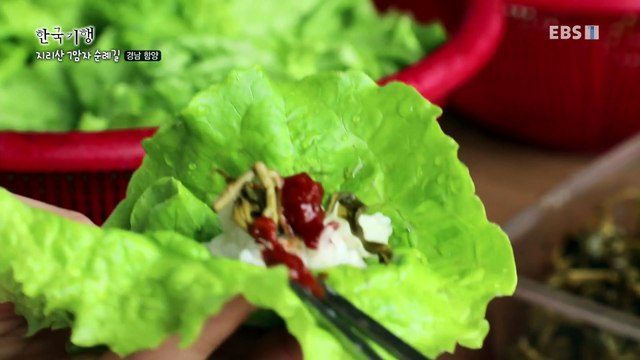 한국기행 - Korea travel_그 여름의 추억 2부- 지리산 7암자 순례길_#001