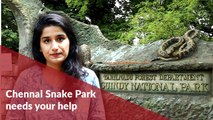 Home to baby Gharials and Pythons, Chennai Snake Park needs your help