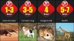How Long Can Animal Go Without Food | Animals That Can Survive Without Food the Longest | Comparison | Filmism World |