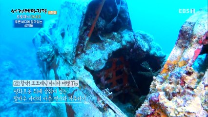 세계테마기행 - 포토제닉 아시아- 팔라우를 즐기는 법_#001