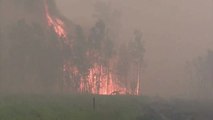Preocupan los incendios en Rusia con más de 300 focos activos
