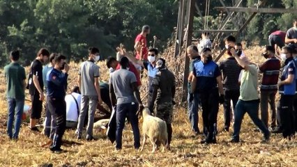 AVCILAR'DA KAÇAK KESİM GERGİNLİĞİ