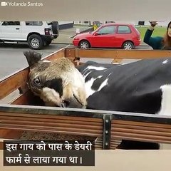 पहली और एकमात्र बार किसी इंसान ने उसके प्रति करुणा दिखाई  पहली और एकमात्र बार किसी इंसान ने उसके प्रति करुणा दिखाई 