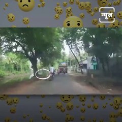 The Viral Video Of Friendship Between Dog And Goat