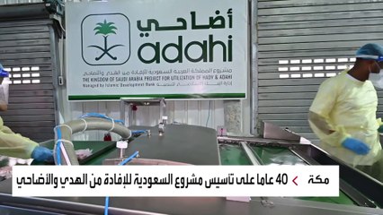 25 دولة تستفيد من مشروع السعودية للإفادة من الهدي والأضاحي