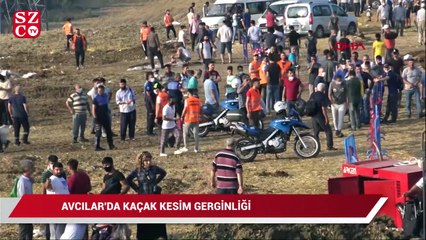 Avcılar'da kaçak kesim gerginliği