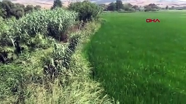 Gönen Çayı, atıklar nedeniyle siyaha büründü