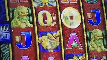 Closing submissions in the Victorian Royal Commission