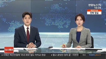 승용차 운송 트럭이 횡단보도·차량 덮쳐 12명 사상