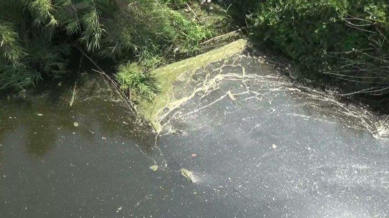Vatandaşlar tedirgin… Siyaha büründü, Marmara’ya dökülüyor