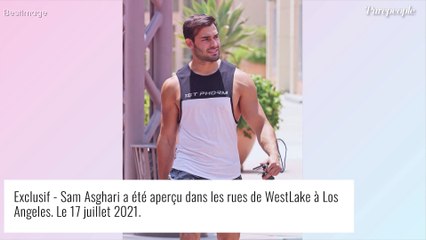 Britney Spears fiancée à Sam Asghari ? La chanteuse dévoile un diamant XXL