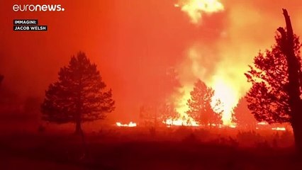 Oregon in fiamme: migliaia di evacuati