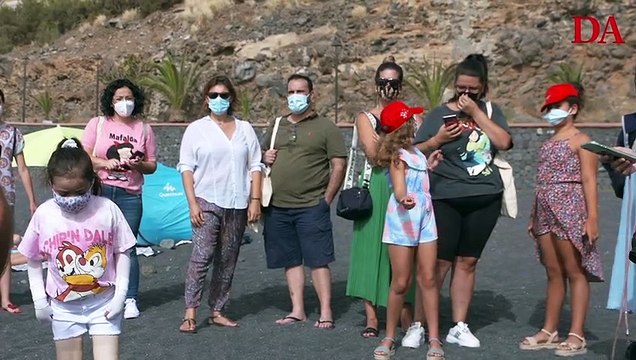 SOS TORTUGAS MARINAS: liberación al mar de tortugas rescatadas en Tenerife