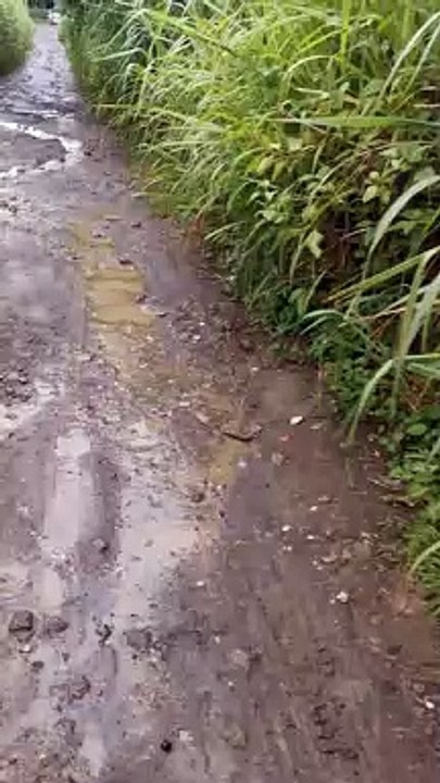 Hirap Talaga Pag Maulan Ang Putik 