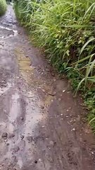 Hirap Talaga Pag Maulan Ang Putik 