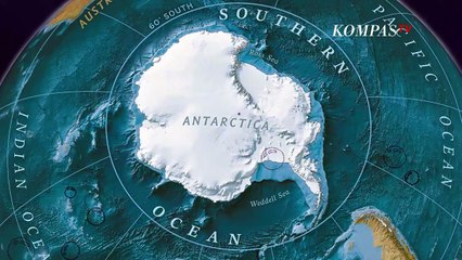 Mengenal Samudra Selatan, Samudra Kelima yang Ada di Dunia