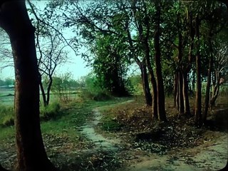 Panchi (Official Video) | Rudraksh ASV | Kaagaz Ki Naav | Lofi Rap Song