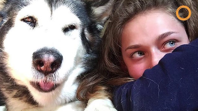 Elle se fait tatouer avec les cendres de son chien mort et incinéré