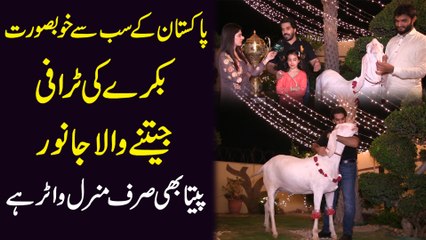 Pakistan k sab se khubsurat bakray ki trophy jeetnay wala janwar, peeta b sirf mineral water hai...
