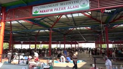 Osmangazi’de hijyenik kurban kesimi