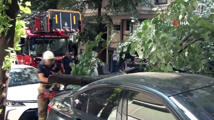 Ünlü oyuncunun lüks aracının üzerine ağaç devrildi