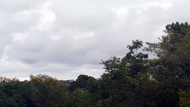 Boeing 737 MAX 8 PR-XMC na aproximação final antes de pousar em Manaus vindo de Fortaleza