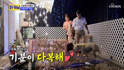 귀염 뽀짝 엄마 다복이의 7마리 꼬물이 작명 미션 TV CHOSUN 210720 방송