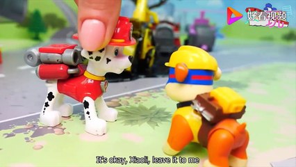 Who soiled Xiaoli's bulldozer? Wang Wang team was dispatched to clean Xiaoli's car