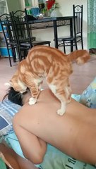 Cat Gives Minutes Long Massage