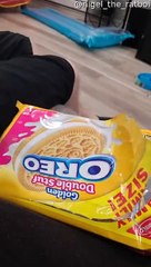 Tiny Hands Perfect for Cookie Crimes